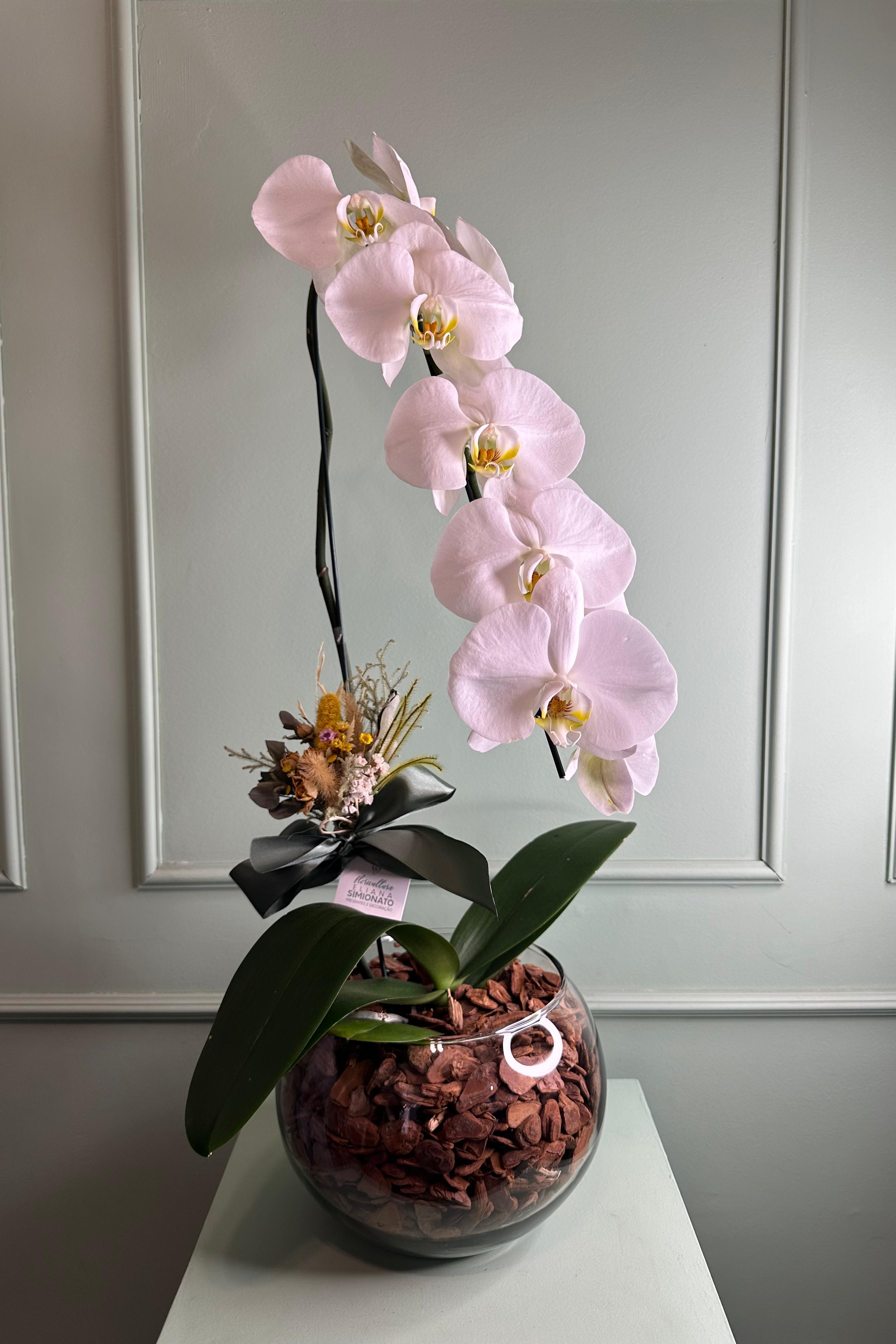 Orqu�dea Cascata no Vaso de Vidro