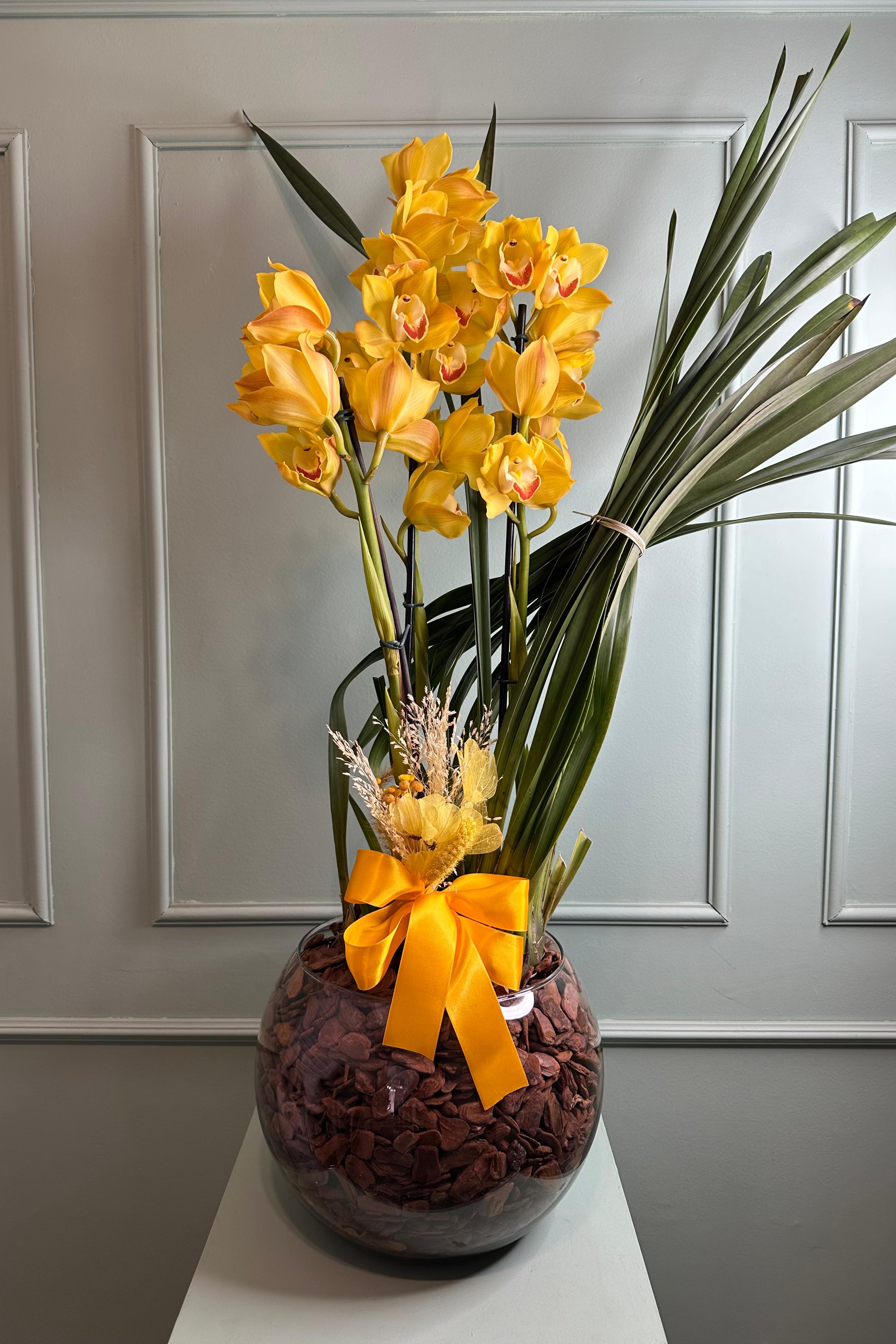 Orqu�dea Cymbidium no Vaso de Vidro