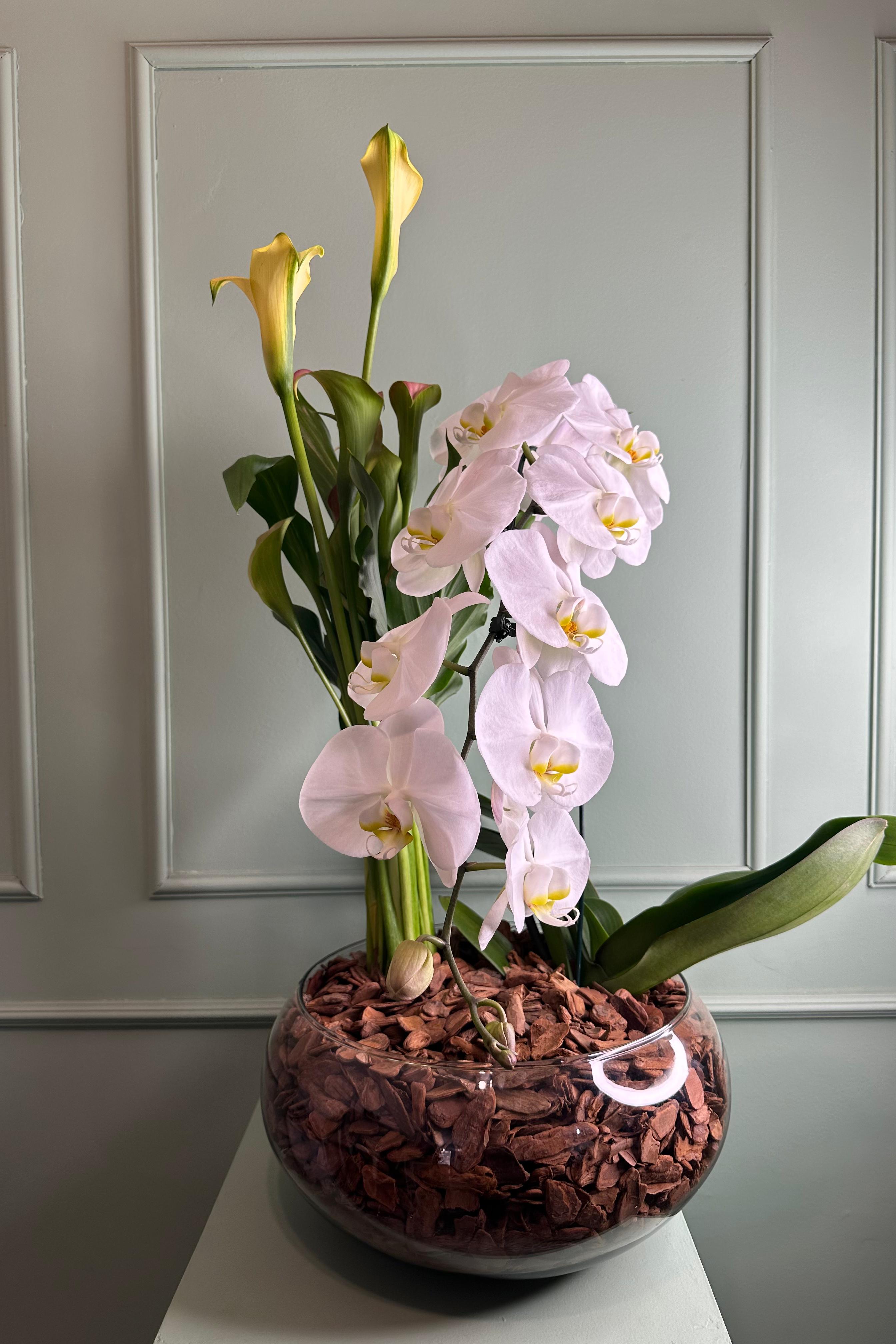 Arranjo com Orqu�dea Cascata e Calla