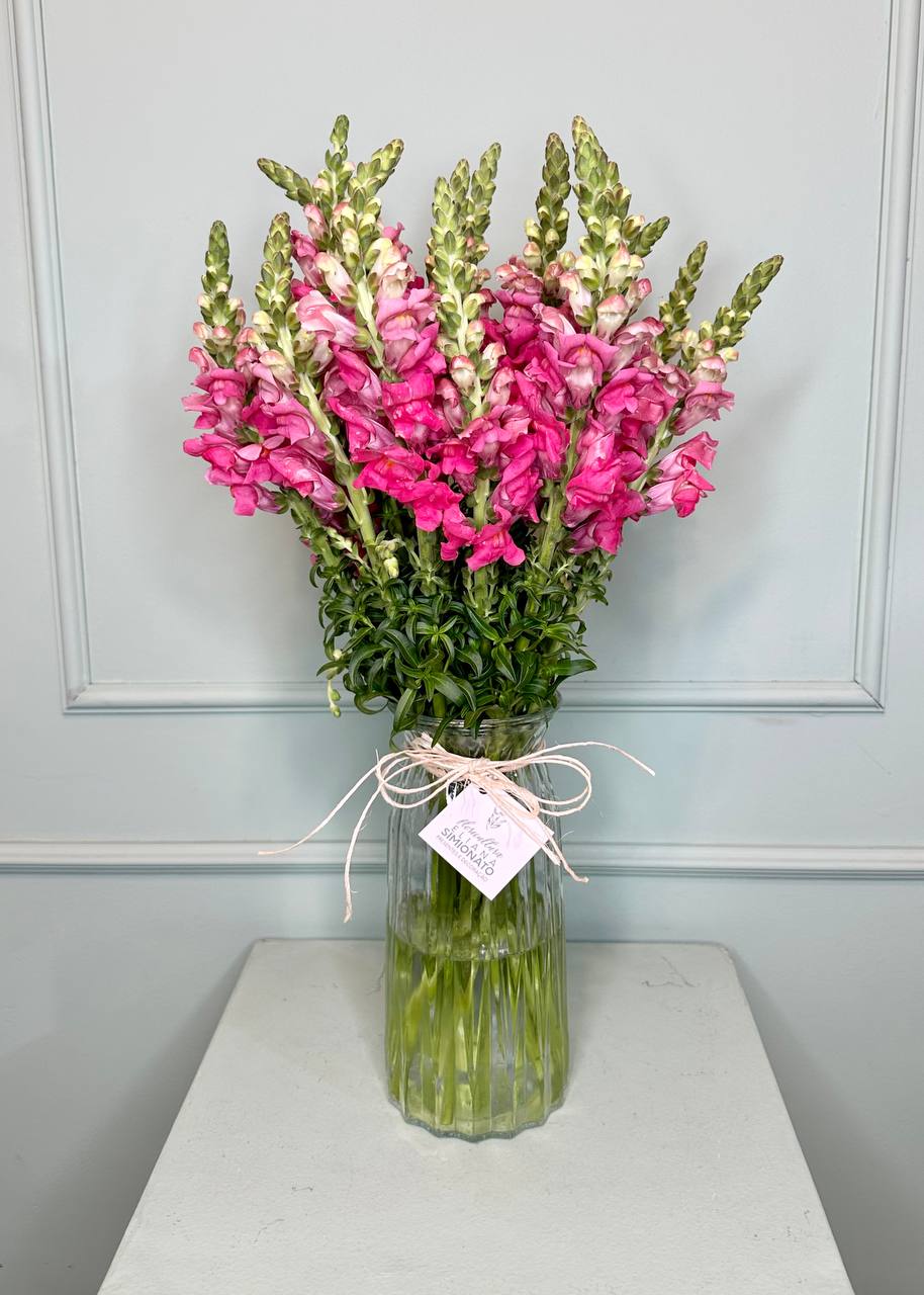 Vaso com Boca-de-Le�o Rosa