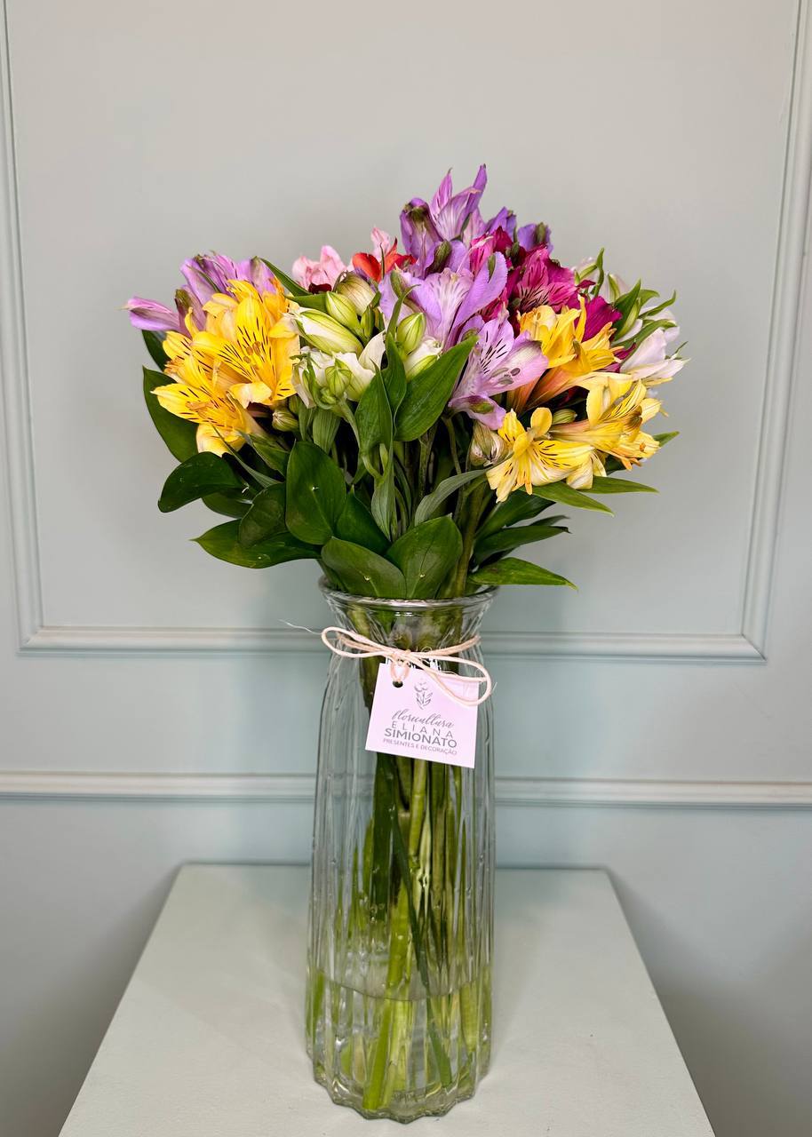 Vaso com Astrom�lia Colorida