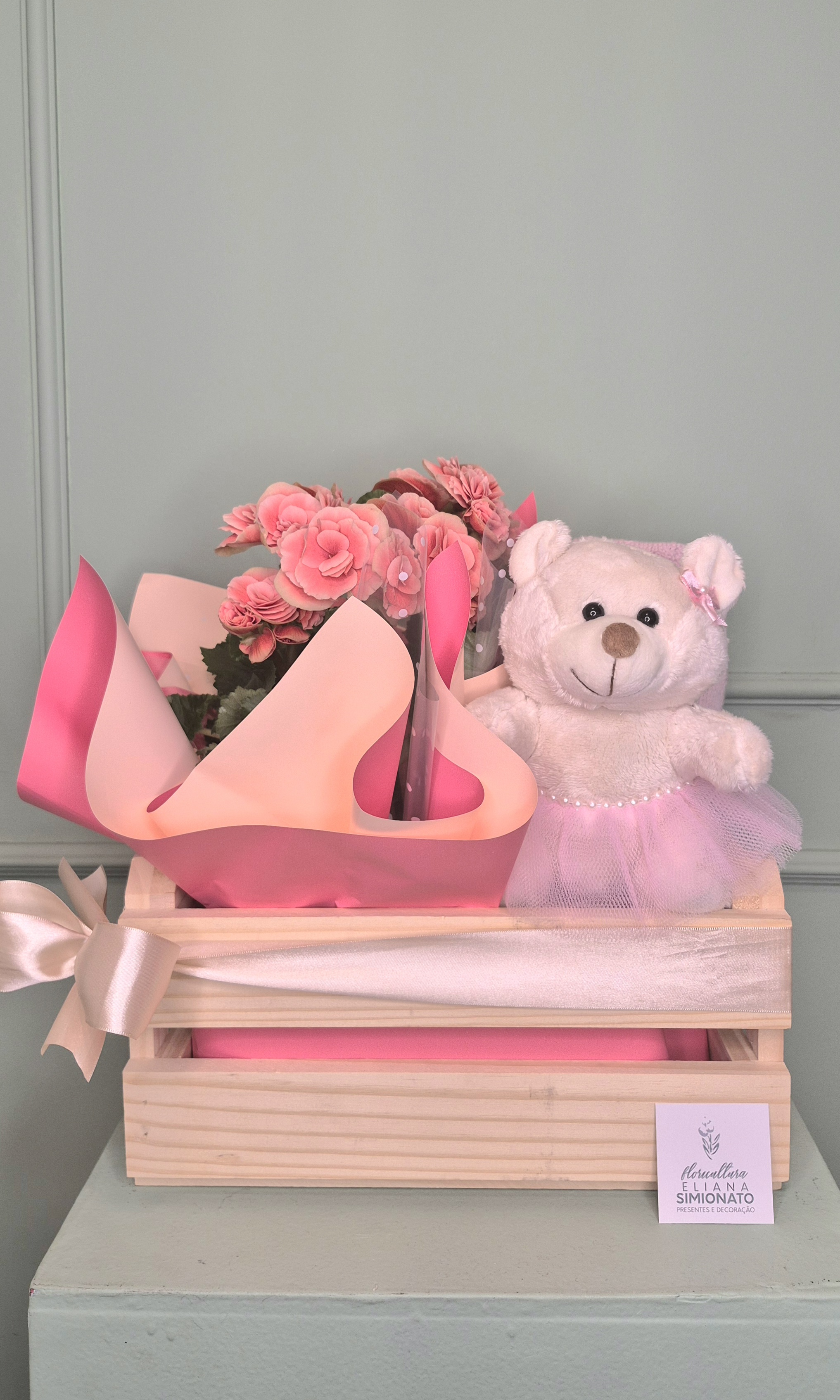 Kit Maternidade - Caixote com Beg�nia